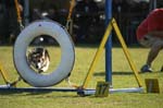 IMG_9040
