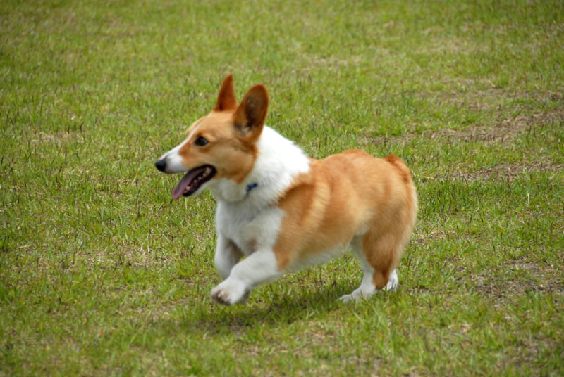 070JET_2966