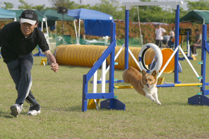187IMG_9836