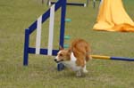 089IMG_9485