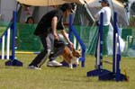 166IMG_9756