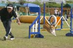 187IMG_9836