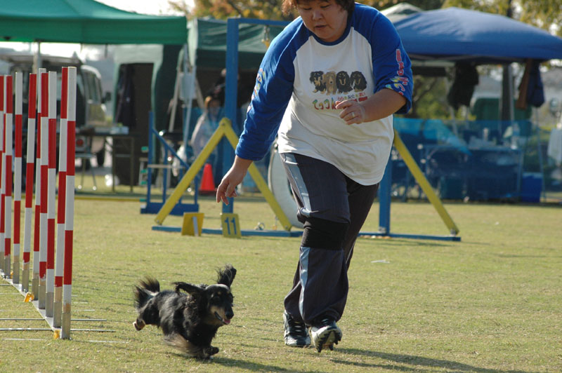 163DSC_8490