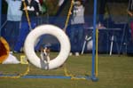 056IMG_1327