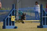 057IMG_1762