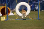 060IMG_1339