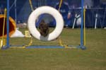 061IMG_1342