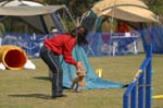 062IMG_1344