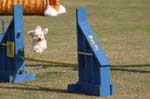 064IMG_1779