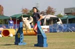 080IMG_1816