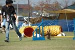 100DSC_8313
