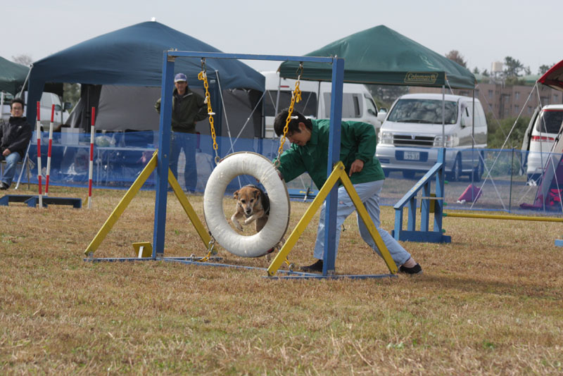 198IMG_0904