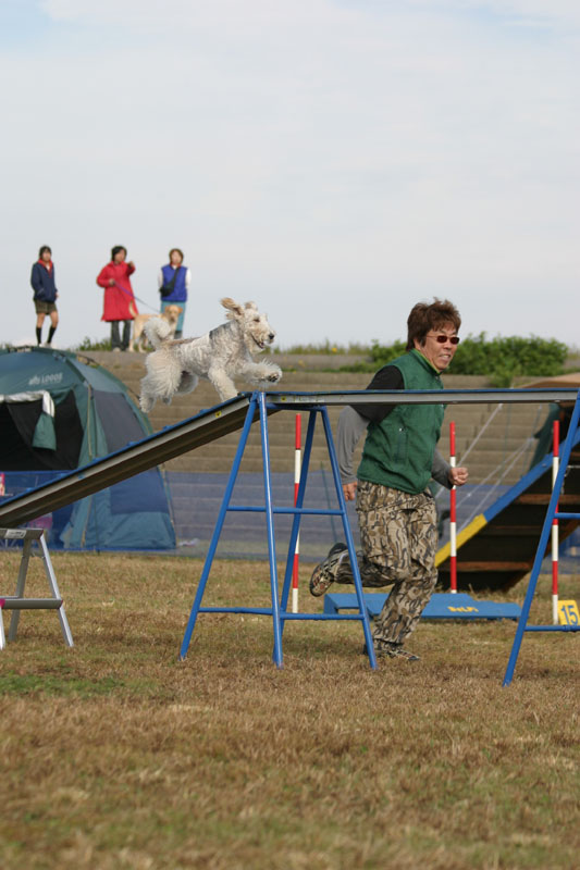 282IMG_4351