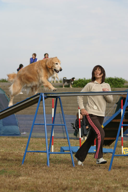 283IMG_4353
