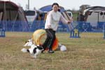 193IMG_0877