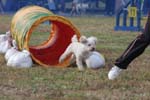 195IMG_0881