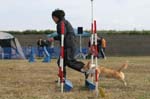 196IMG_4138