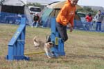 202IMG_0915
