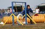 204IMG_4148