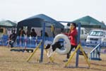 219IMG_0979