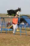 294IMG_4378