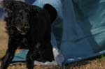 295IMG_4379