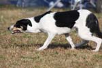 296IMG_1177