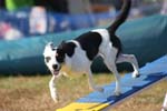 296IMG_1181