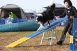 298IMG_1198