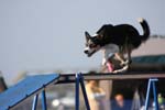 299IMG_1191