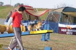 305IMG_1213