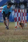 306IMG_4404