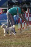 307IMG_4407