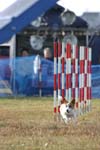 314IMG_4420