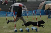 192DSC_1339