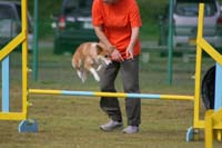 IMG_9781