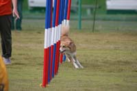 IMG_9782