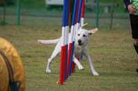 IMG_9789