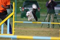 IMG_9808
