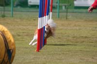 IMG_9831