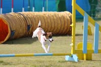 IMG_9871