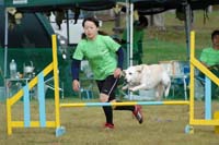 NOM_6039
