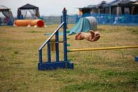 IMG_8373