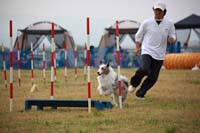 IMG_8438