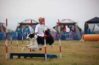 IMG_8518