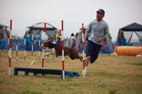 IMG_8523