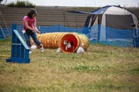 IMG_8551