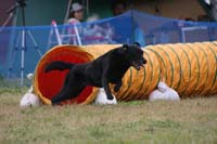IMG_8555