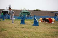 IMG_8556