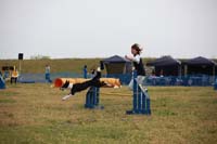 IMG_8562